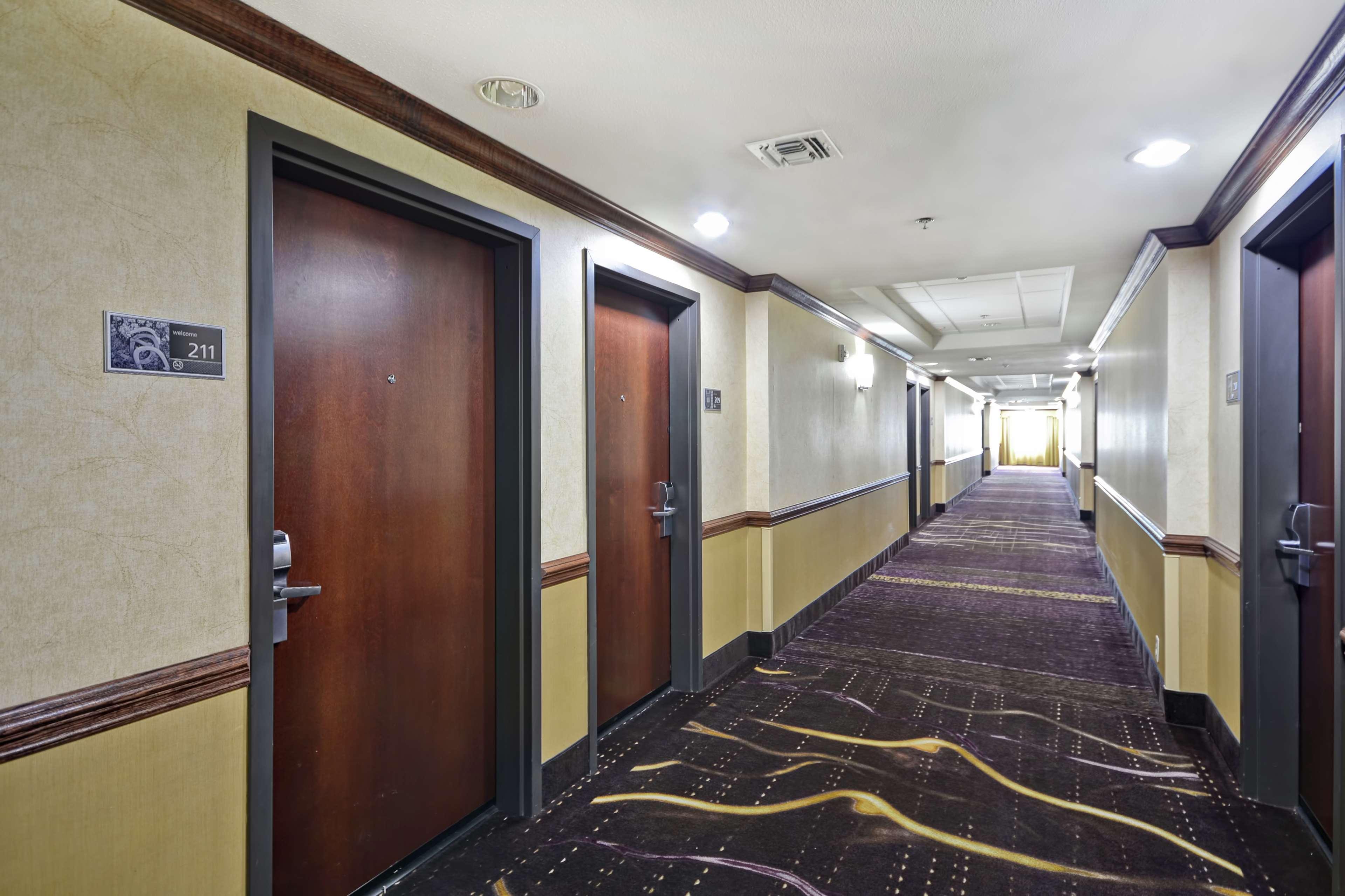 Hampton Inn & Suites Corpus Christi I-37 - Navigation Boulevard Buitenkant foto