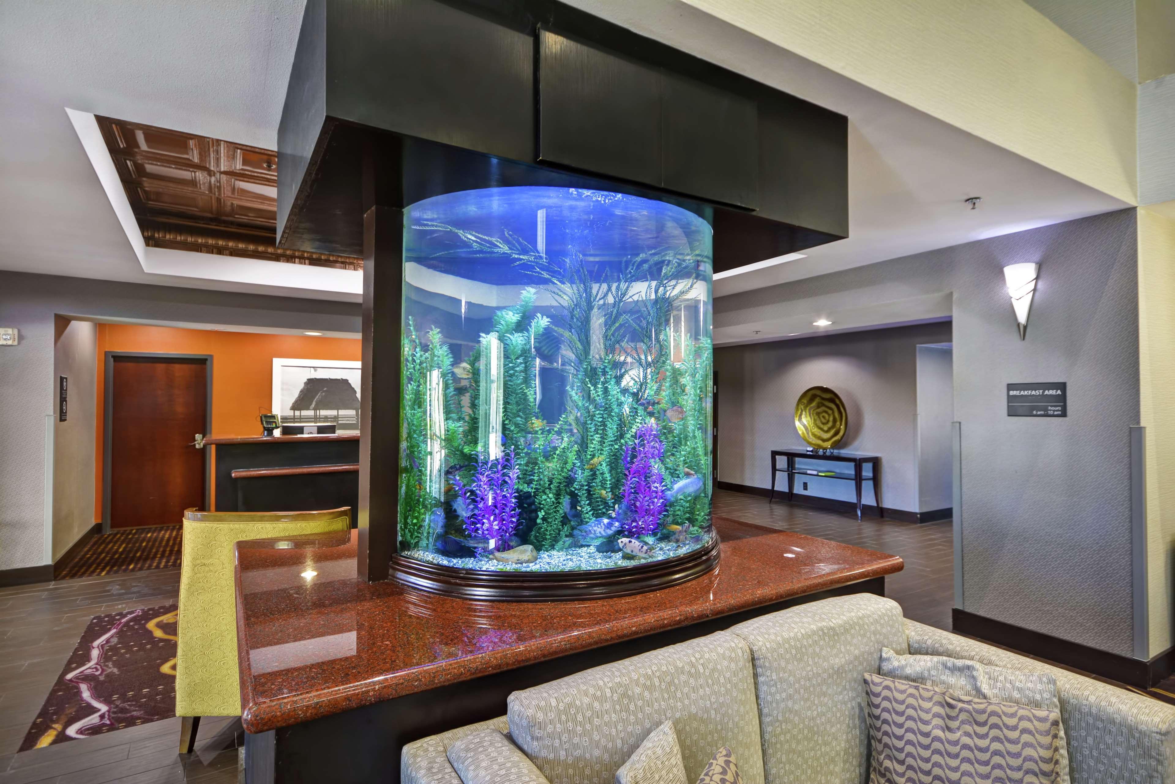 Hampton Inn & Suites Corpus Christi I-37 - Navigation Boulevard Buitenkant foto
